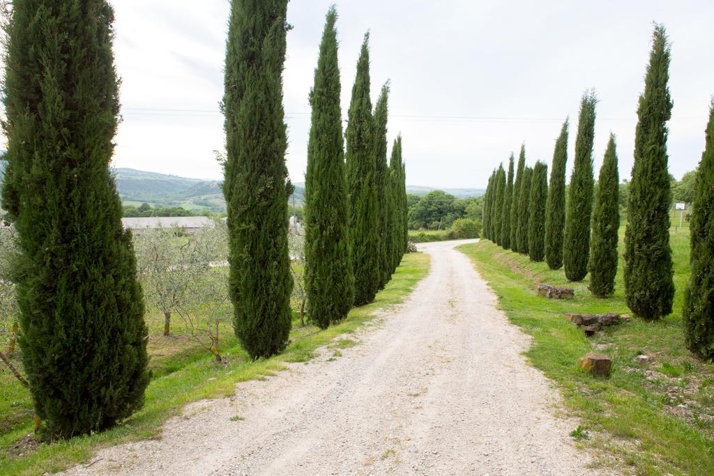 Podere Il Tigliolo