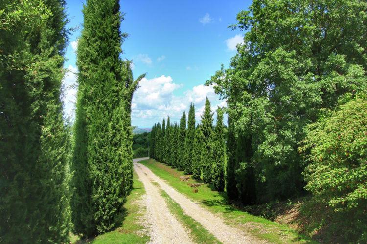 Landhuis Podere Il Tigliolo
