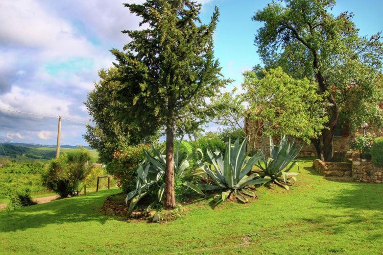 Podere Il Tigliolo *