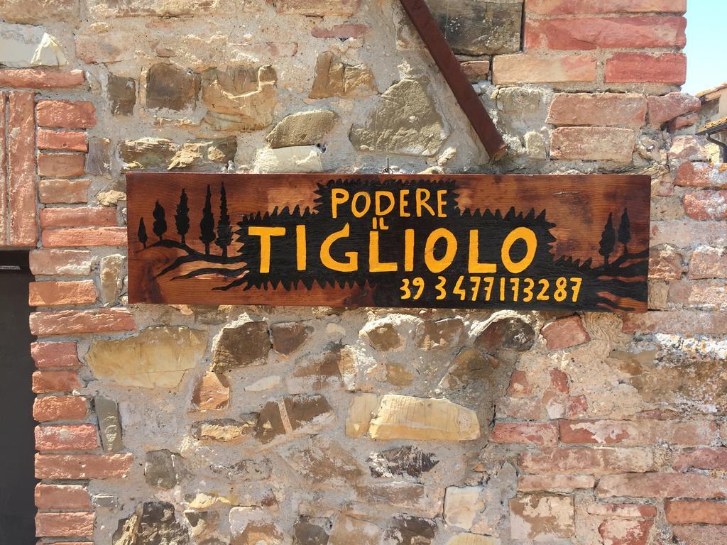 Podere Il Tigliolo Castiglione dʼOrcia